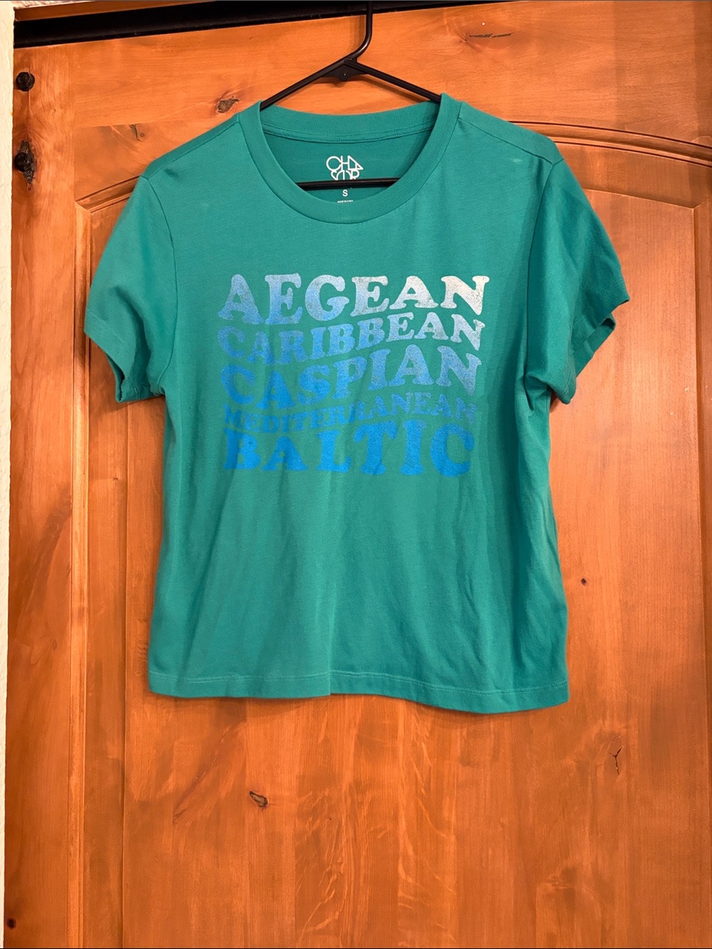 Chaser Teal Short-Sleeve Graphic Tee